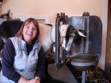 Susan shows me how to milk goats