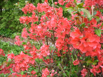 Wake up! It's Spring!