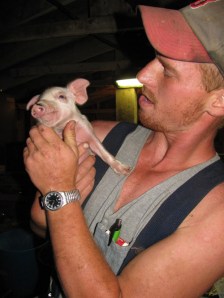 mark with piglet