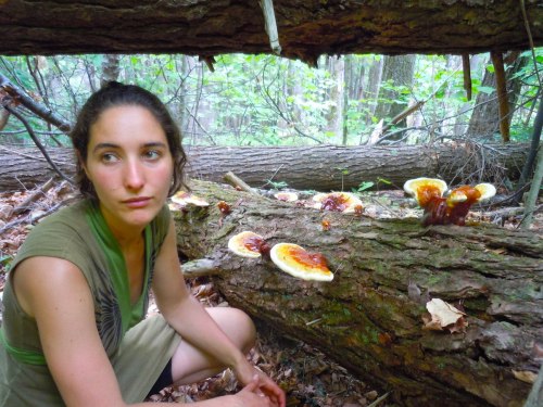reishi hannah