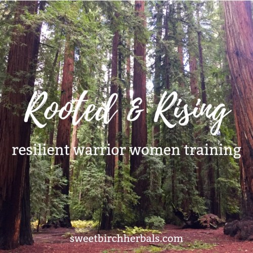 Rooted & Rising (1) copy