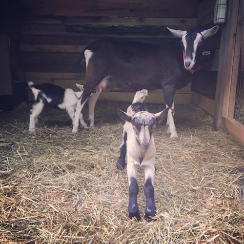 14136A57-C0B7-40FA-80BD-964B7543BB74