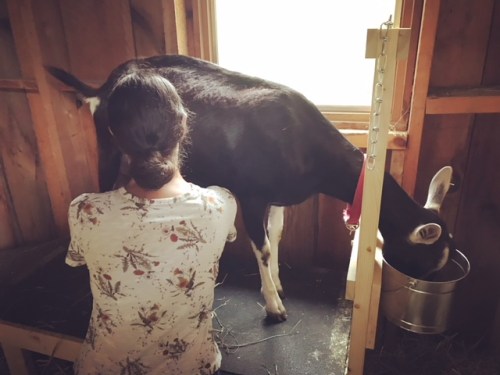 49EB6D2A-A4A9-4532-9FB6-A837C1F1DE2F